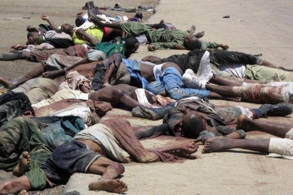 Boko Haram tue à nouveau dix personnes dans l'Extrême-Nord du Cameroun