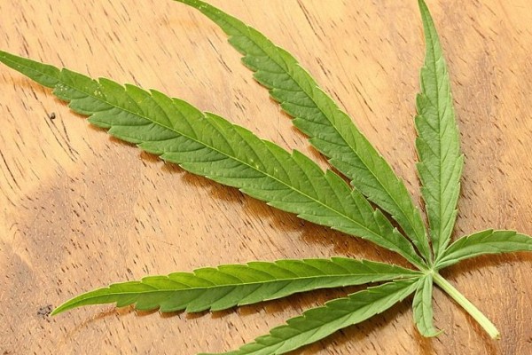Toxicité : l'alcool plus dangereux que le cannabis