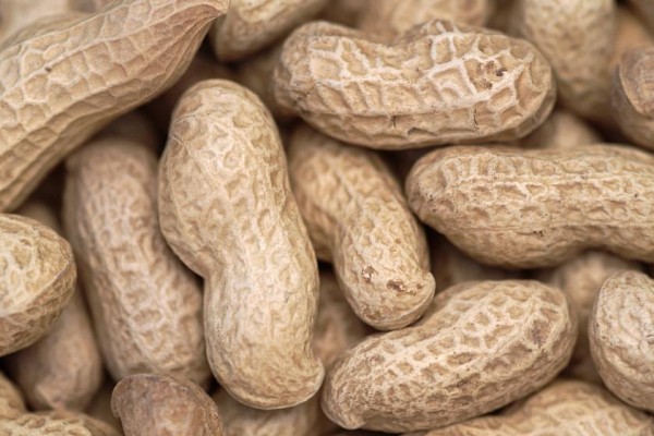 Faire manger de l'arachide aux nourrissons pourrait réduire les allergies