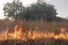 Côte d'Ivoire : le gouvernement lutte contre les feux de brousse