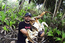 Tranquillou, il prend une photo avec un crabe géant