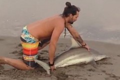 (Vidéo) Un homme tire un requin hors de l'eau pour prendre un selfie avec lui