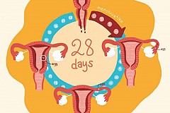Menstruation

Pourquoi les femmes sont-elles plus excitées à cette période du mois?
