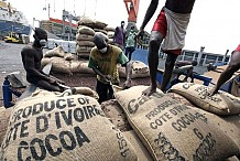 Cacao : la Côte d’Ivoire et le Ghana échouent à imposer un prix plancher aux industriels