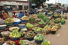 La Côte d’Ivoire veut booster la chaîne de valeur mangue