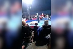 Un ours saute dans le public pendant un spectacle de cirque (vidéo)