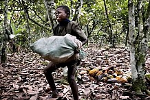  Lutte contre le travail des enfants - Les Forces de sécurité formées