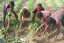 Mission Préparatoire de la mise en œuvre du Système de Suivi et d’Observation du Travail des Enfants en Côte d’ivoire (SOSTECI) du 28 juillet au 01 aout 2013