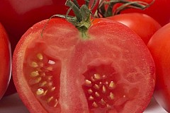 Pourquoi les tomates ont-elles de moins en moins de goût ?