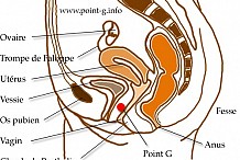 Le point G, c'est quoi, c'est où ?