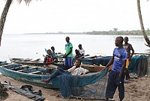 Reportage / Interdiction de la pêche à Jacqueville et à Dabou Le calvaire des pêcheurs et des commerçantes
