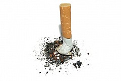Arrêter de fumer fait grossir - Flore intestinale en jeu