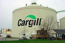 Cargill investit 1,8 milliard de FCFA dans la formation de 60 000 planteurs de cacao