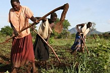 Les agriculteurs exhortés à la gestion rationnelle des ressources naturelles