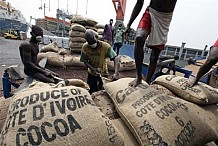 Cacao : le négociant Armajaro boude la Côte d'Ivoire.