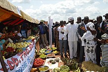 Plus d’un milliard de F CFA octroyés à des fédérations agricoles de Bouaflé