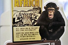  Une marque de cigarette sud-coréenne assimile les Africains à des chimpanzés