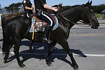 Un an de prison pour un supporteur qui avait frappé un cheval