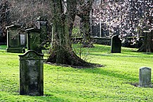Québec : cimetière cherche dépouilles