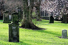 Québec : cimetière cherche dépouilles Québec : cimetière cherche dépouilles