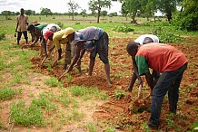 Agriculture: Les paysans organisent leur premier forum des affaires.