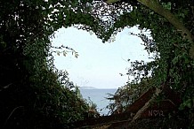 Et si vous faisiez l'amour dans la nature?