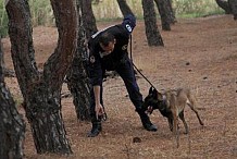 Les chiens policiers vont toucher une retraite.