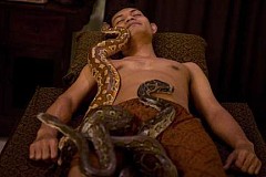 Quand les masseuses cèdent leur place aux... serpents