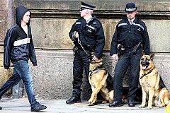 Angleterre : une retraite de 1800 euros pour les chiens policiers à la retraite