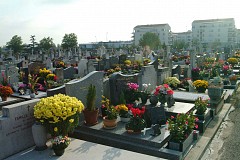 Elle prie pendant 13 ans sur la mauvaise tombe. Elle prie pendant 13 ans sur la mauvaise tombe.