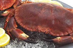 Quatorze mois de prison pour une série de vols dont... des crabes Quatorze mois de prison pour une série de vols dont... des crabes