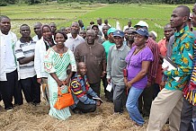 Revue à mi-parcours : le PPAAO/WAAPP Côte d’Ivoire obtient la mention « Satisfaisant »