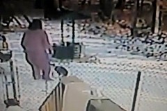 (vidéo) Cette dame n'aurait pas dû envoyer de la neige sur le chat errant . (vidéo) Cette dame n'aurait pas dû envoyer de la neige sur le chat errant .