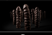 Un pénis en chocolat noir de 20 centimètres.