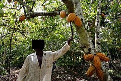 Pour son héritage niablé : un planteur abattu par ses propres fils.