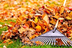 Un million de dollars cachés sous un tas de feuilles. Un million de dollars cachés sous un tas de feuilles.