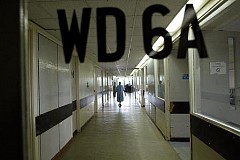 Kenya: panique à l'hôpital après le réveil d'un Kenya: panique à l'hôpital après le réveil d'un