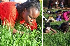 Un Pasteur fait brouter de l'herbe à ses fidèles. Un Pasteur fait brouter de l'herbe à ses fidèles.