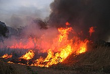 La Côte d'Ivoire se détermine à juguler les effets meurtriers des feux de brousse (SYNTHÈSE)