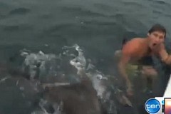 VIDÉO :Il échappe par miracle à l'attaque d'un requin-tigre.