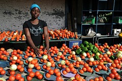 Travail : vocation ou prédestination ?