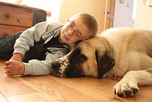 L’ incroyable amitié entre un enfant atteint d’un syndrome musculaire rare et son chien à 3 pattes.