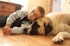 L’ incroyable amitié entre un enfant atteint d’un syndrome musculaire rare et son chien à 3 pattes. L’ incroyable amitié entre un enfant atteint d’un syndrome musculaire rare et son chien à 3 pattes.