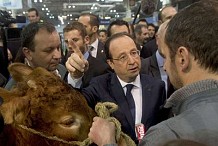 Le Salon de l'agriculture est un enjeu de la sécurité alimentaire, selon François Hollande 