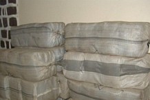 Une tonne et 300 Kgs de Cannabis saisis à Assinie