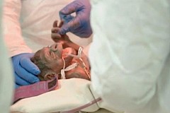 Etats-Unis : un bébé gorille naît par césarienne