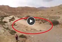Une rivière réapparaît au beau milieu d'un désert aride en Israël