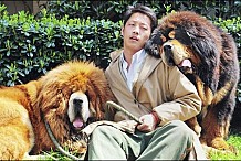 Chine: Il s'offre un chien pour 1,7 million de francs
