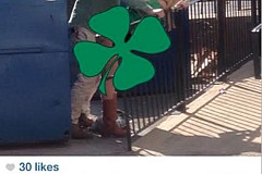 Ce couple filmé en train de faire l’amour au milieu des poubelles Ce couple filmé en train de faire l’amour au milieu des poubelles