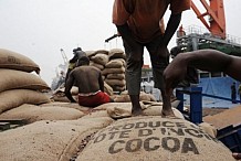 Exportation frauduleuse : 173 tonnes de cacao d’une valeur de 247 millions saisiesl